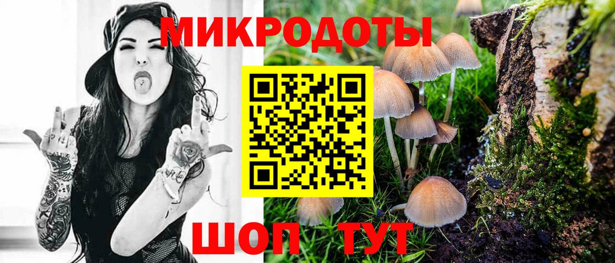 Галлюциногенные грибы Psilocybe  Вход с VPN  Севастополь  Псилоцибиновые грибы прущие грибы 