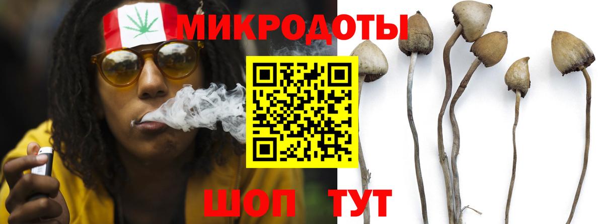 Галлюциногенные грибы прущие грибы Севастополь